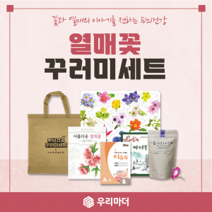 아름다운 열매꽃 꾸러미